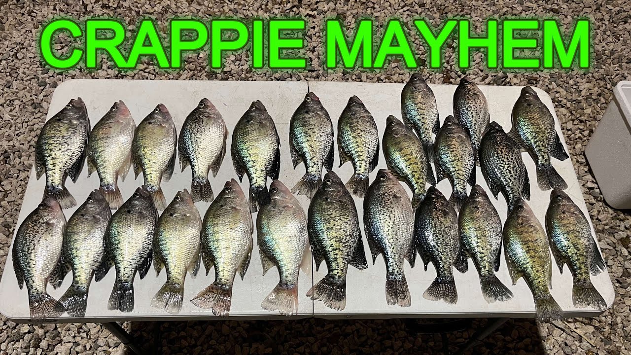 Fort Loudon Lake Crappie Fishing March 29, 2025