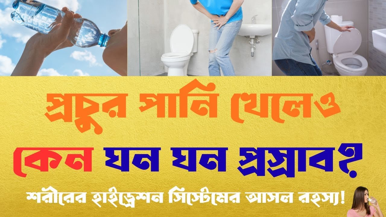 পানি খাওয়ার পর বারবার প্রস্রাবের কারণ ও সমাধান । Hydration Science Explained Bangla
