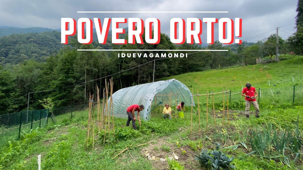 Ci siamo dimenticati di lui! - Ep. 491 - Vita in Montagna