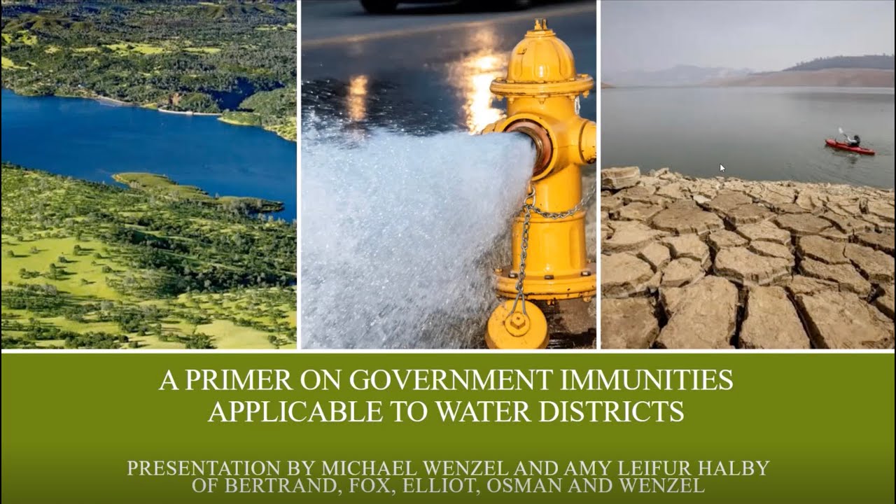 Using Governmental Immunities and Other Risk Management Strategies - WLG Webinar 3 - 2025