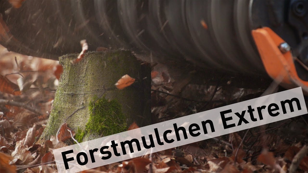 Forstmulcher Extrem 4k MDB Raupe