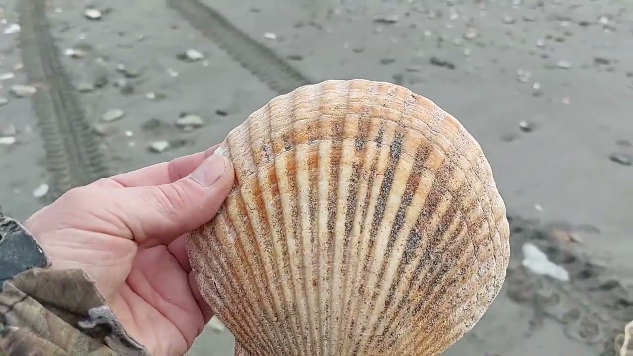 На рыбалку с металлоискателем. (1 часть) Последние теплые деньки.