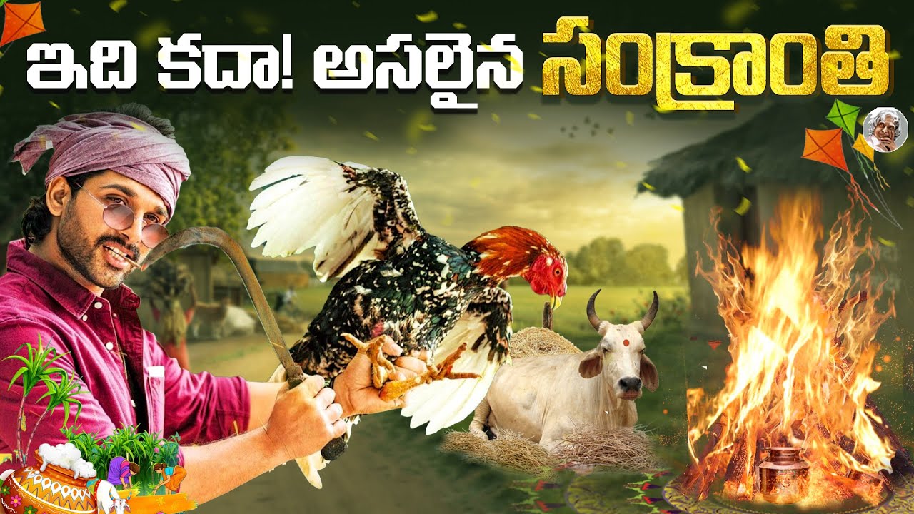 సంక్రాంతి చరిత్ర ఏంటి ? || అసలు ఎలా మొదలైంది ? || Sankranthi Festival History in Telugu