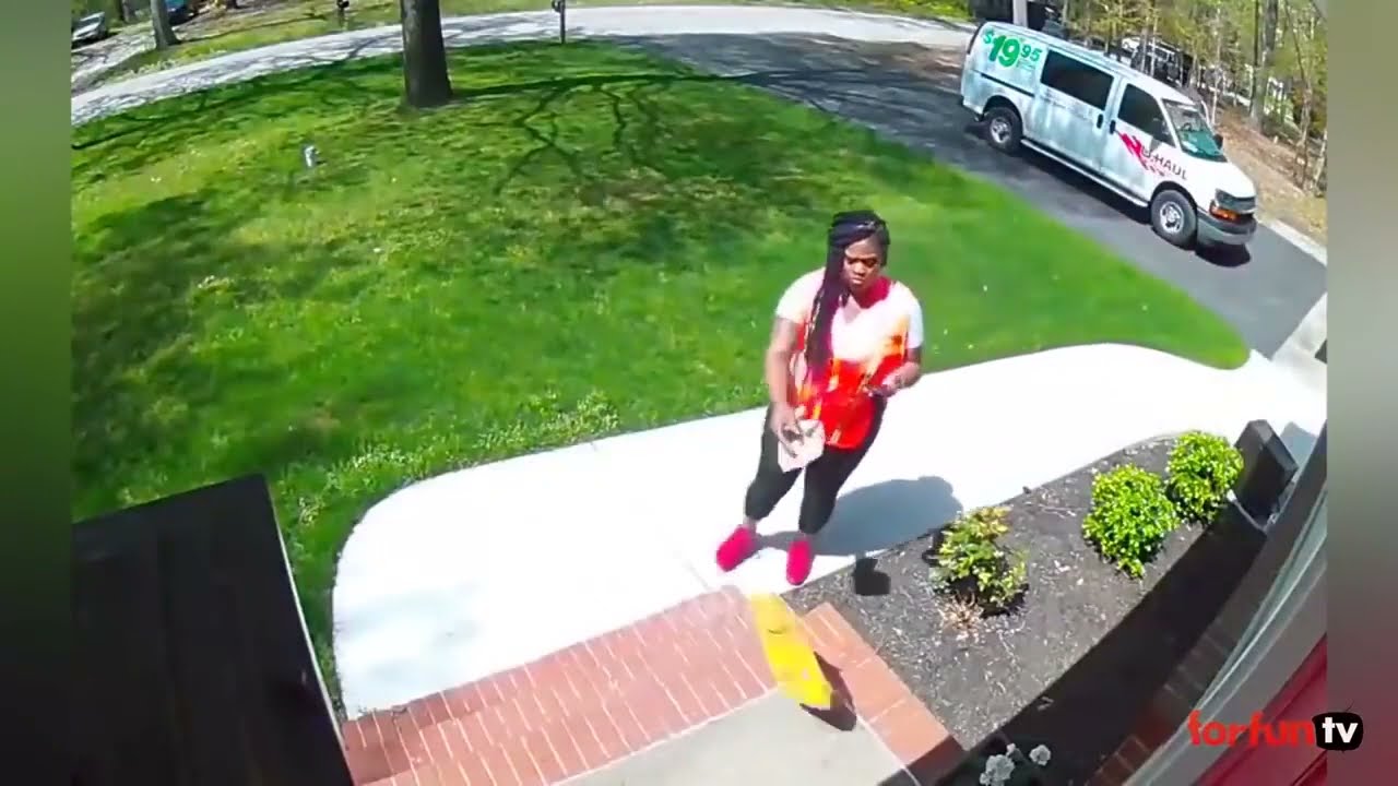 viral compilation video 2022