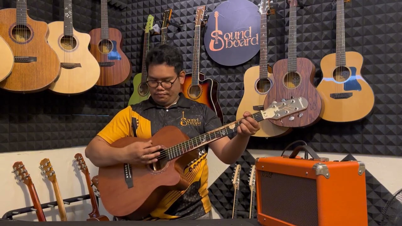 Thomson TS40CMEQ All Mahogany Acoustic Electric Guitar | Guitar Review and Sound demo |