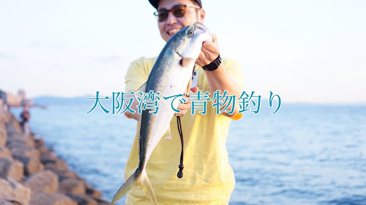 【青物釣り】大阪湾で青物釣り。#japaneseculture#青物釣り #のませ釣り 