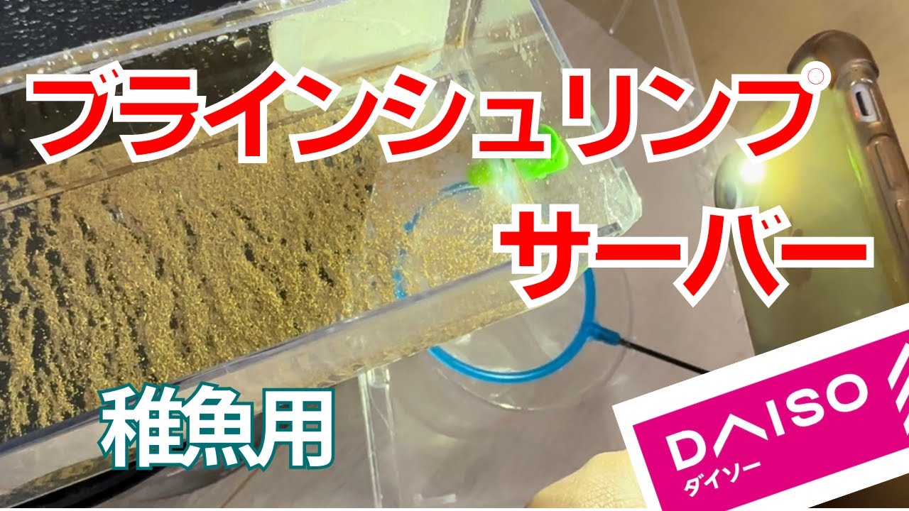 【ブラインシュリンプ】材料費1000円で出来る！ダイソー商品でサーバーを自作してみた！
