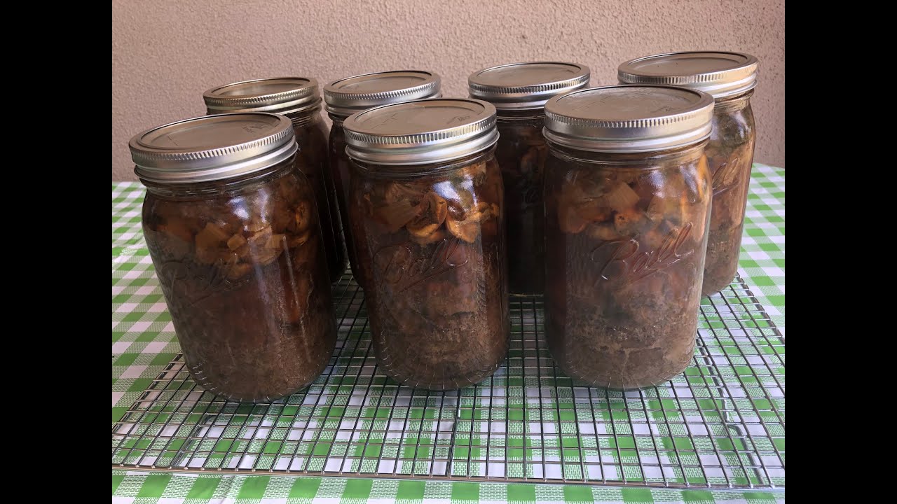 Pressure Canning Beef Stroganoff