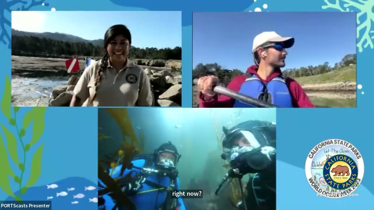 World Ocean Day: Dive into the Kelp Forest at Point Lobos State Marine Reserve!