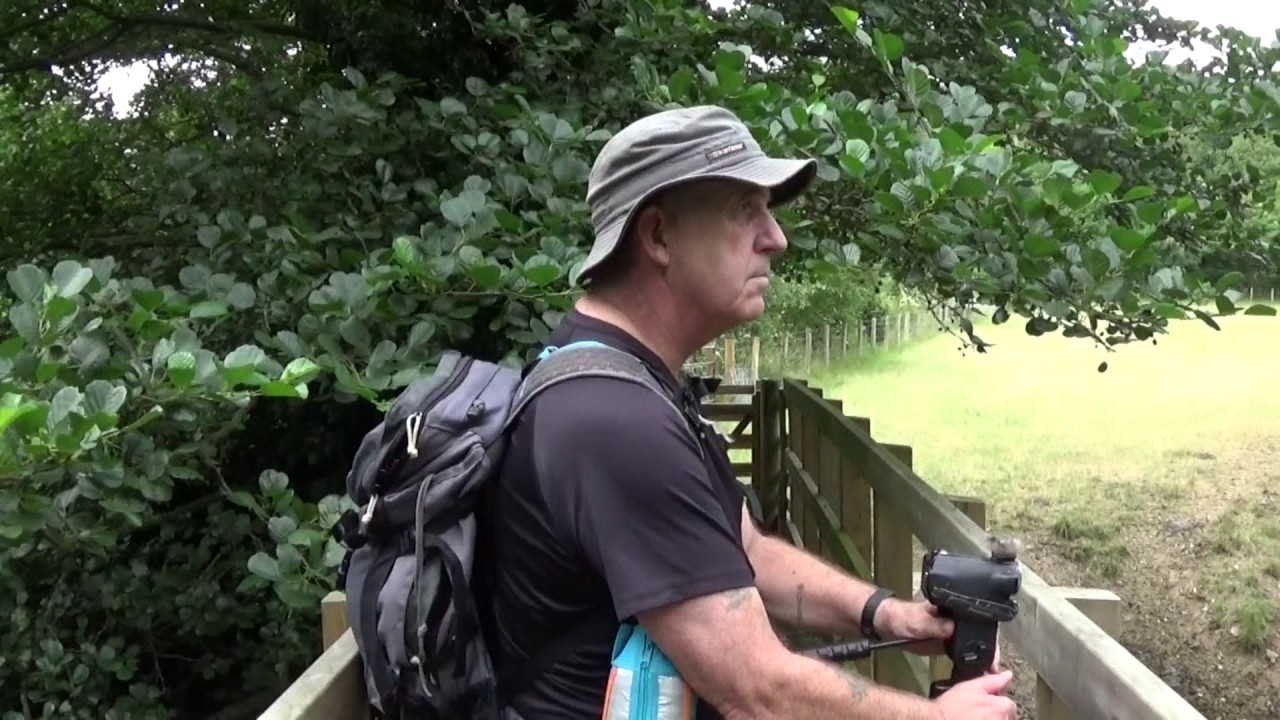 Petham circular walk 11-7-2017