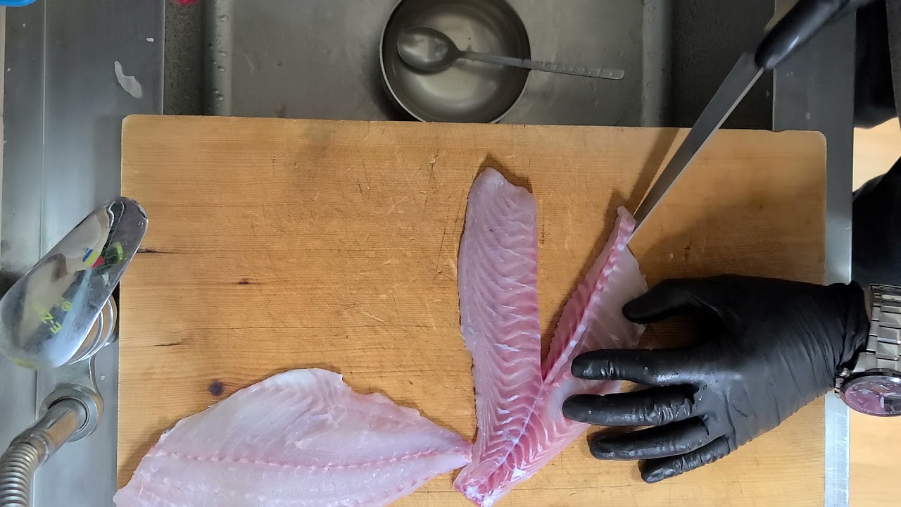 제주도 벵에돔 낚시 벵에돔 회뜨기