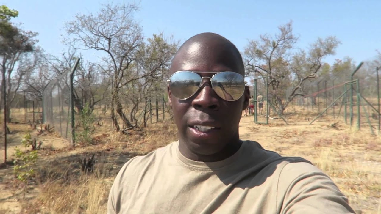 Living with Cheetahs overview