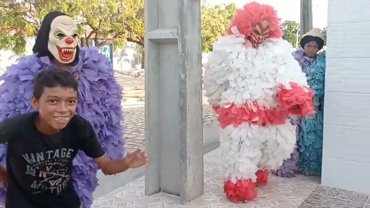 tbt os melhores momentos dos ursos de Mossoró 2023