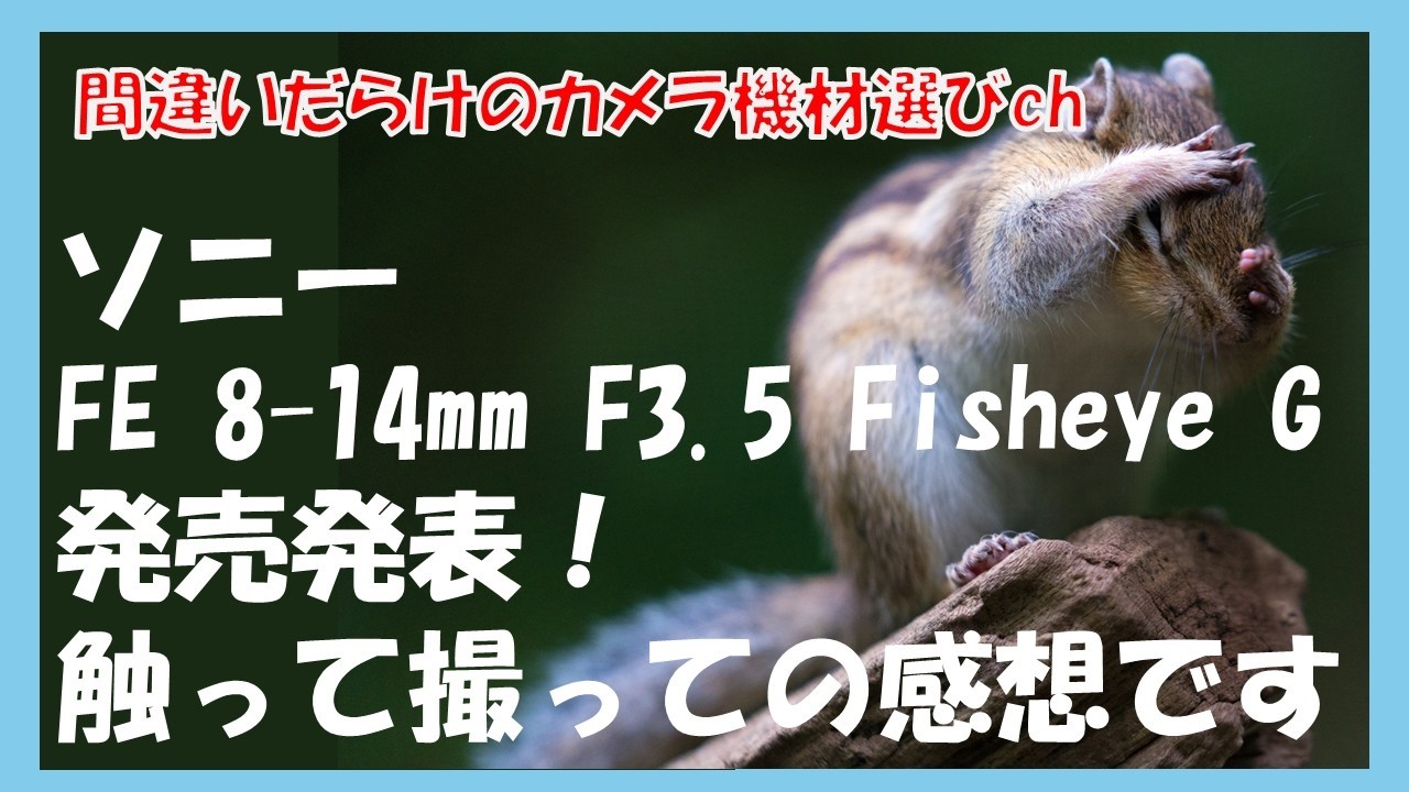 間違いだらけのカメラ機材選びch 「ソニーFE 8-14mm F3.5 Fisheye G発売発表！触って撮っての感想です」