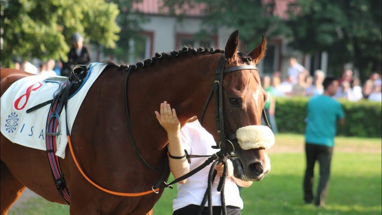 101. Srpski galopski derbi - ceremonija