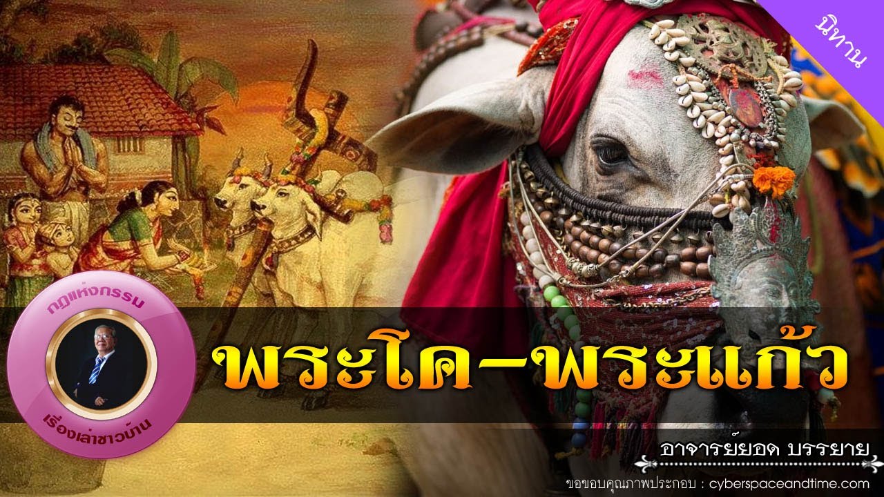 อาจารย์ยอด : พระโค พระแก้ว [นิทาน] new