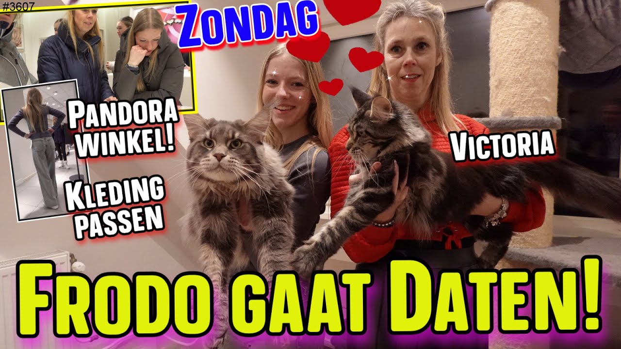 Shoppen in de STAD. MaineCoon Kater Frodo gaat op DATE! Pandora winkel bezoeken #pandora  #3607
