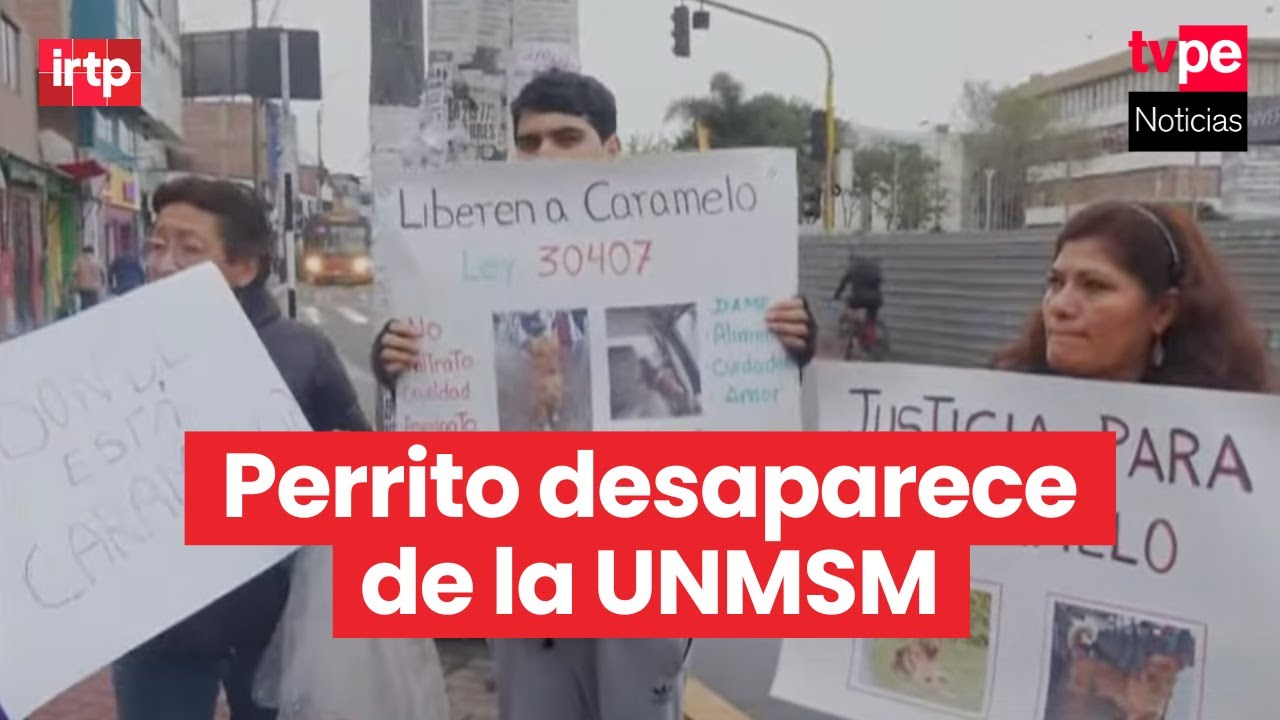 Denuncian desaparición de perro que vivía en el campus de la UNMSM