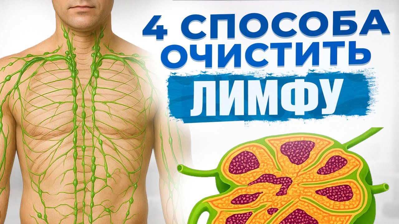 4 совета как очистить свой организм и похудеть. Лимфатическая система.