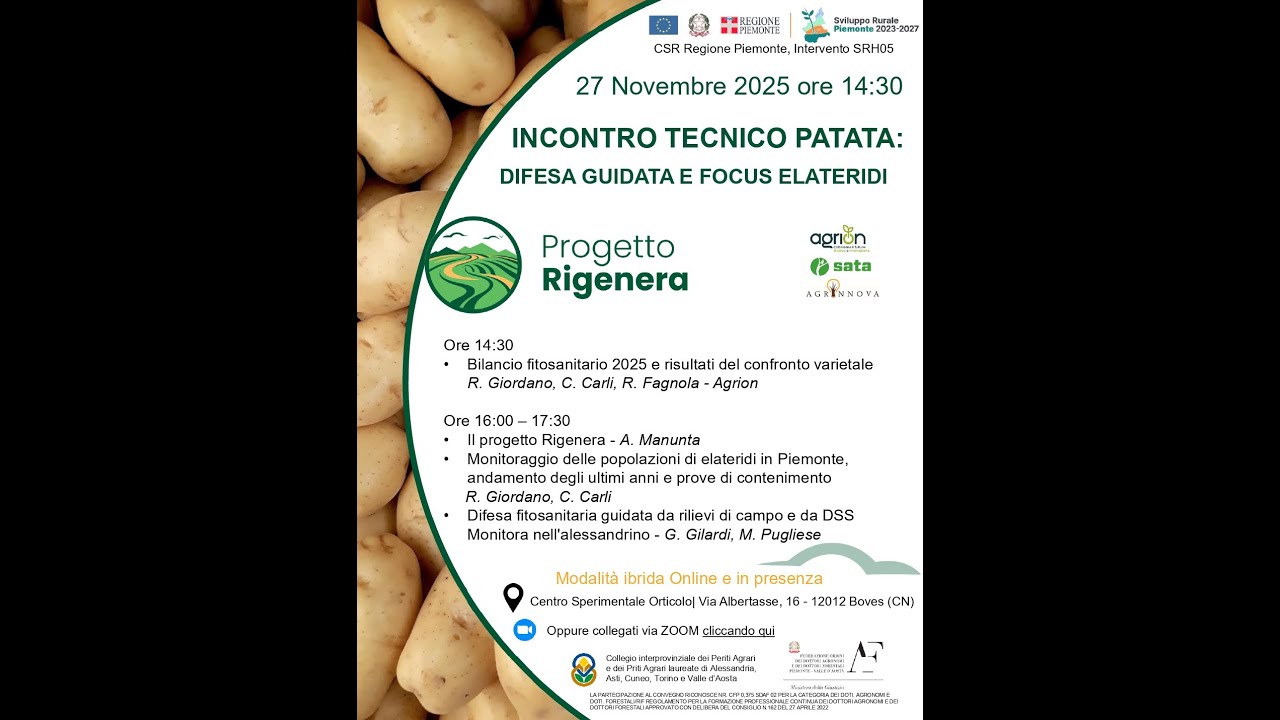 Incontro tecnico patata: difesa guidata e focus elateridi - 27.11.2025