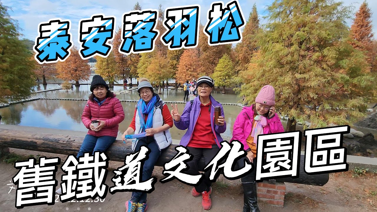 台中后里 泰安落羽松 舊鐵道文化園區 2022.12.30