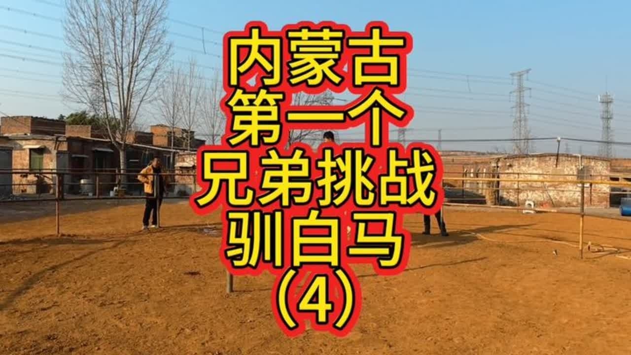 刚开始上马绊绑三条腿，先骑上去然后在一个一个解开让它适应！ #河南驯马小伙骑士威 #易明马道 #中国人的驭马之道 #以柔克刚驯马法 #传播中国马文化