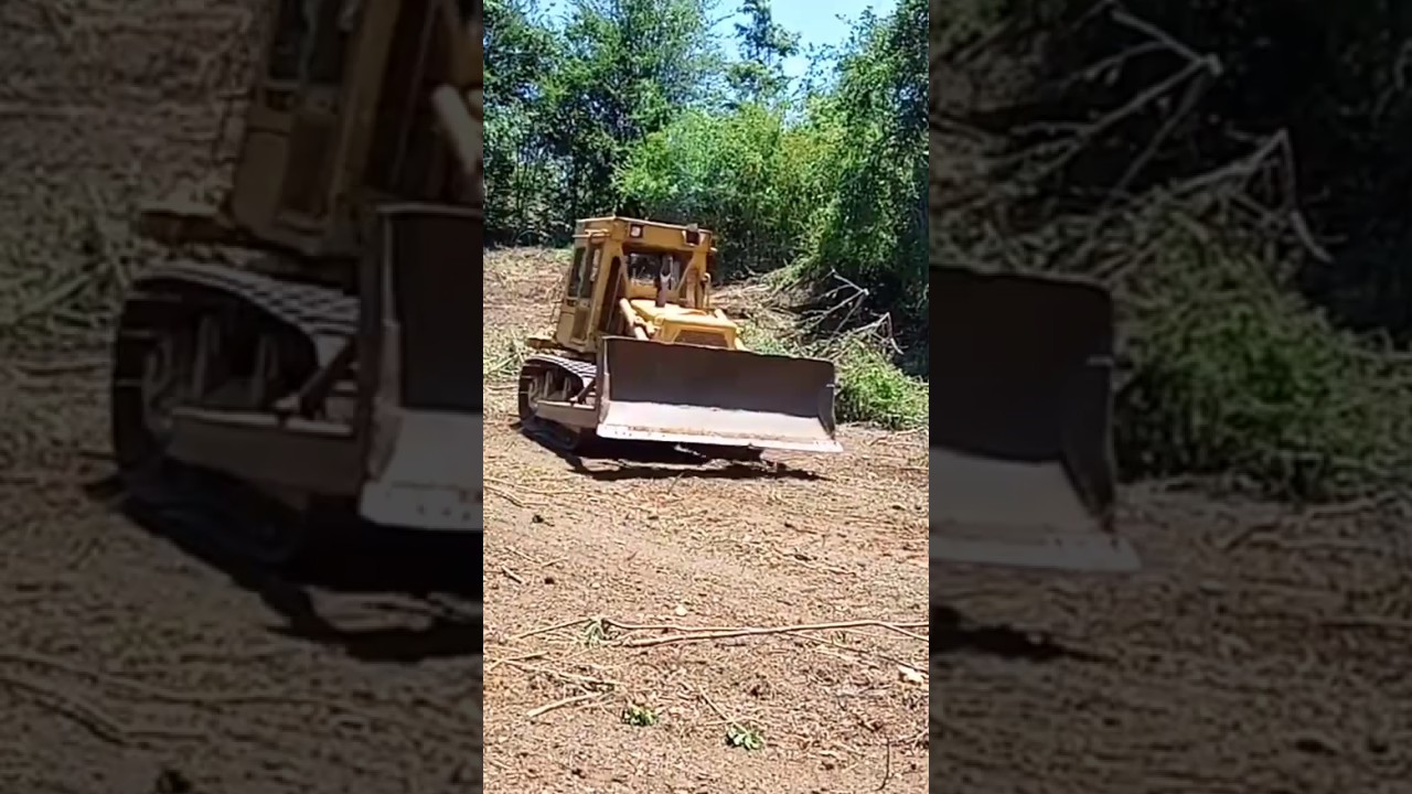 the backhoe driver ... very skill