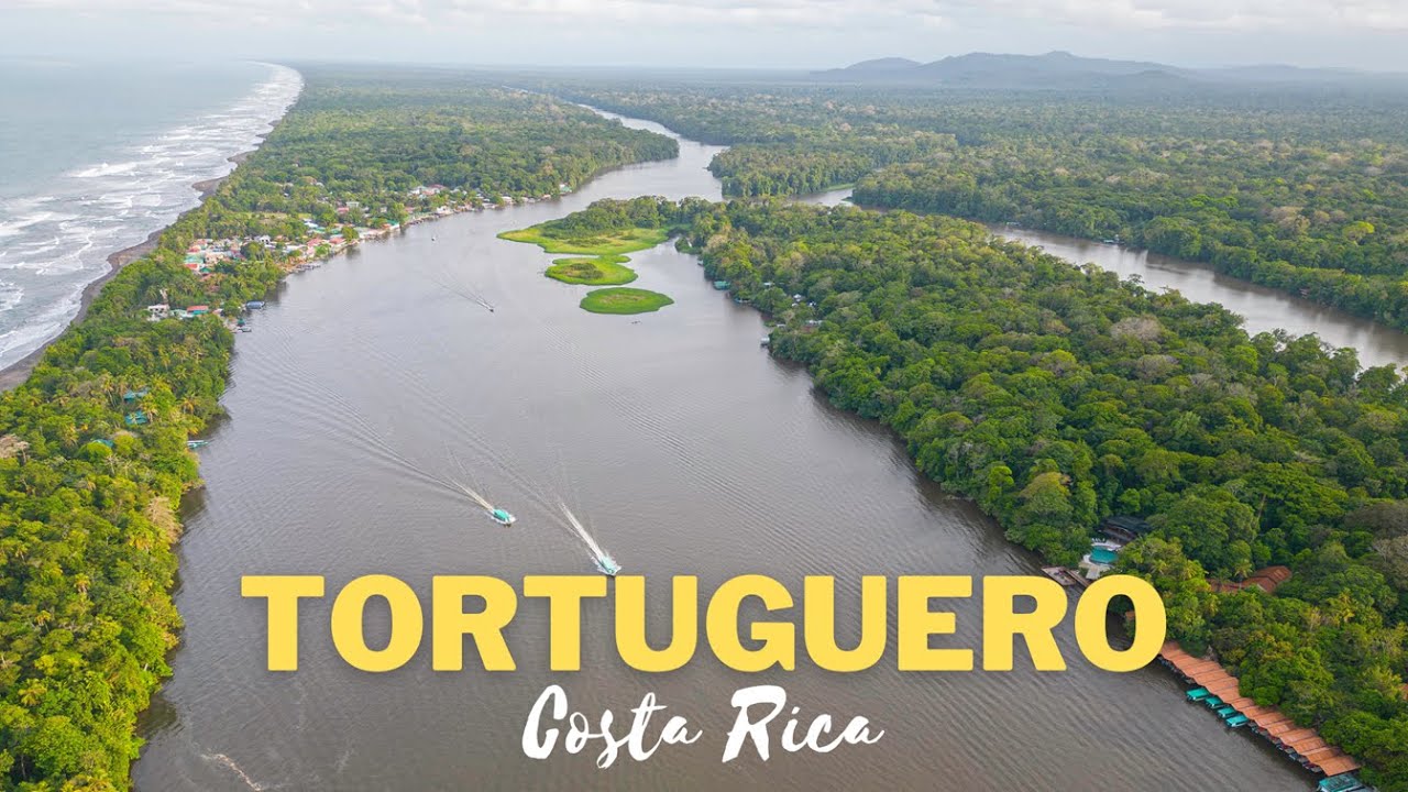 WHAT TO DO IN Tortuguero National Park Costa Rica, Wildlife travel vlog 4K