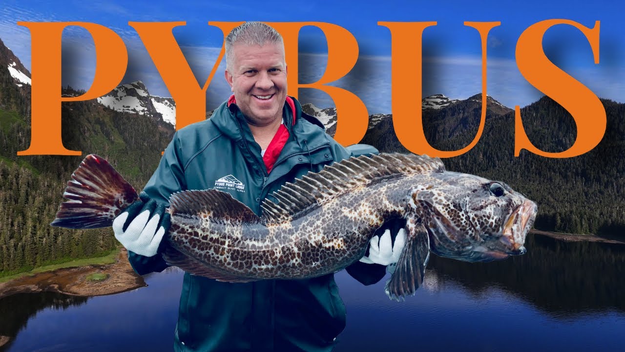Limit Out in Alaska! Halibut, Rockfish & Ling Cod at Pybus Point Lodge