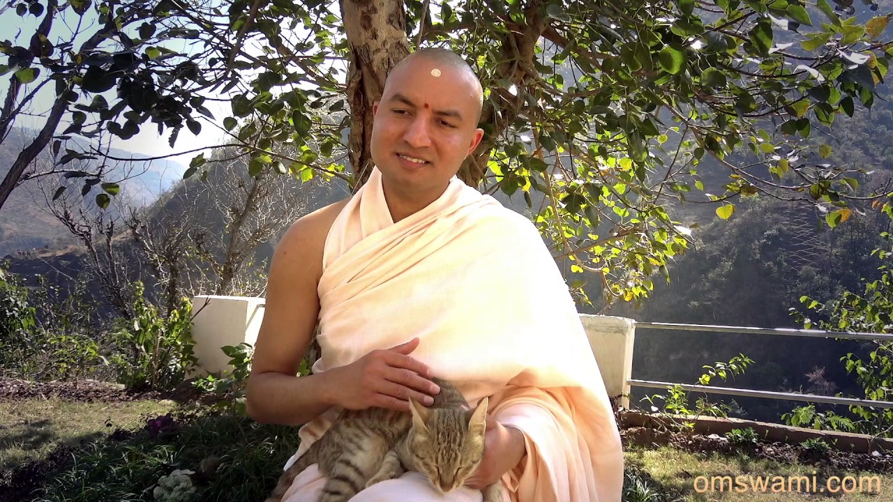 The Art of Attention - Om Swami