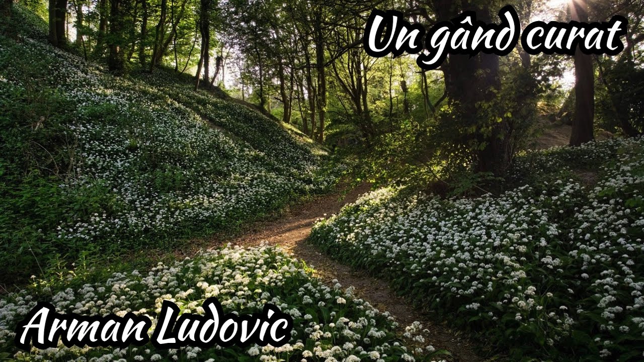 Arman Ludovic - Un gând curat
