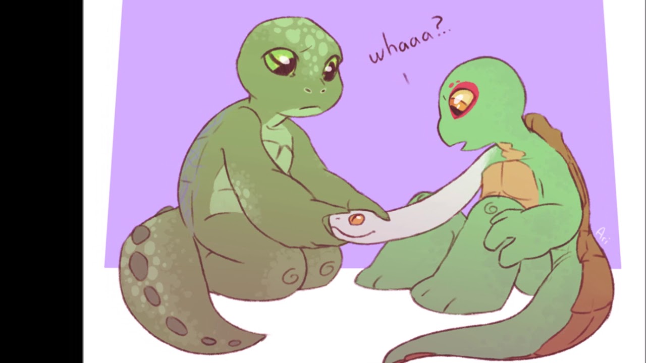 TMNT, New generation