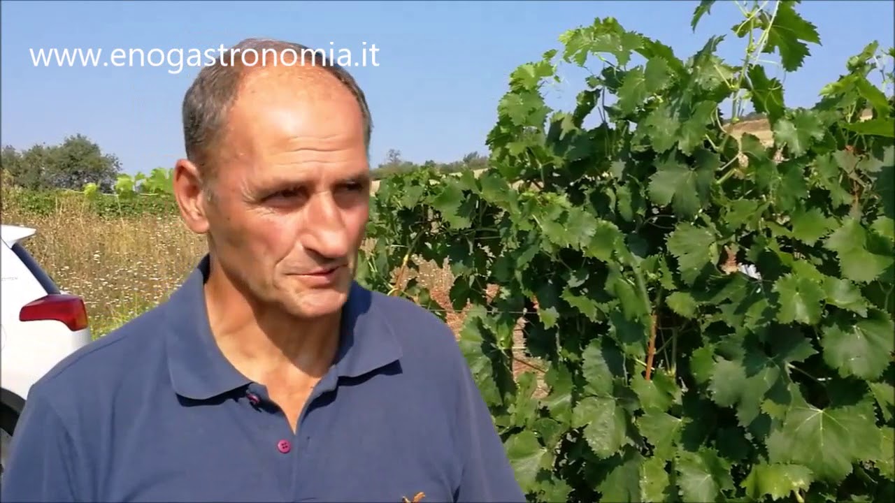 Casa Maschito