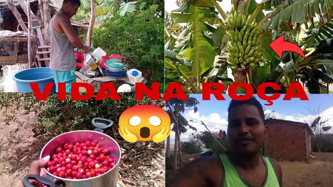 Vida na roça, fiz uma faxina geral😱😱