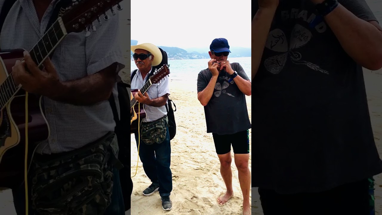 Jamming with Locals- Neil Adler - Chromatic Harmonica