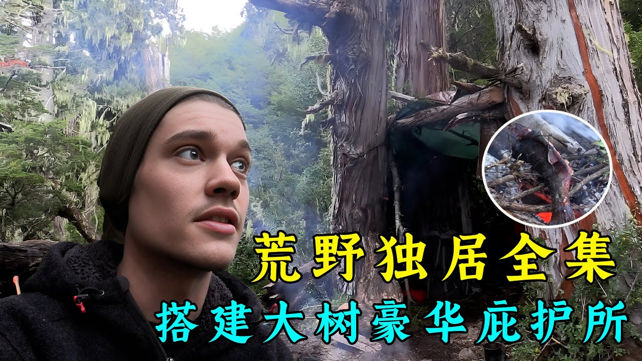 一口氣看完荒野獨居第三季全集，搭建大樹豪華庇護所，制造壁爐取暖，每天吃烤魚！紀錄片 | Build a shelter to survive in the wild