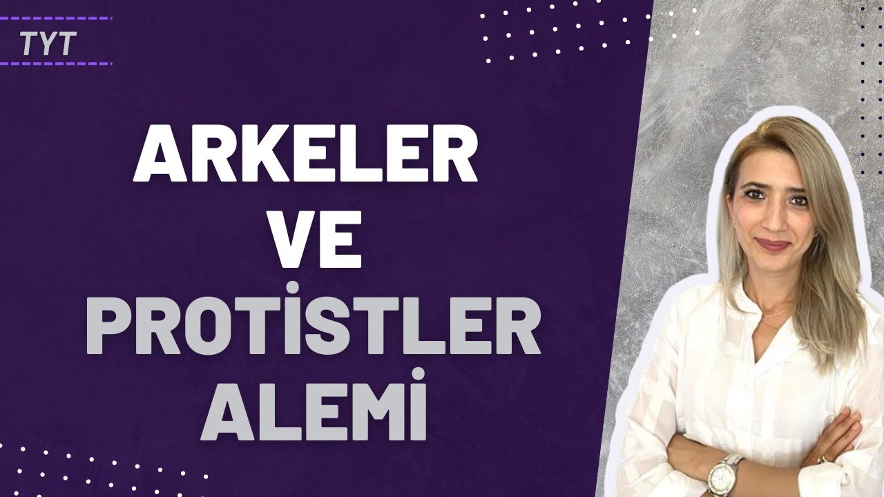(22.Ders)  ARKELER VE PROTİSTALAR ÂLEMİ | Seda Hoca Biyoloji 🧬
