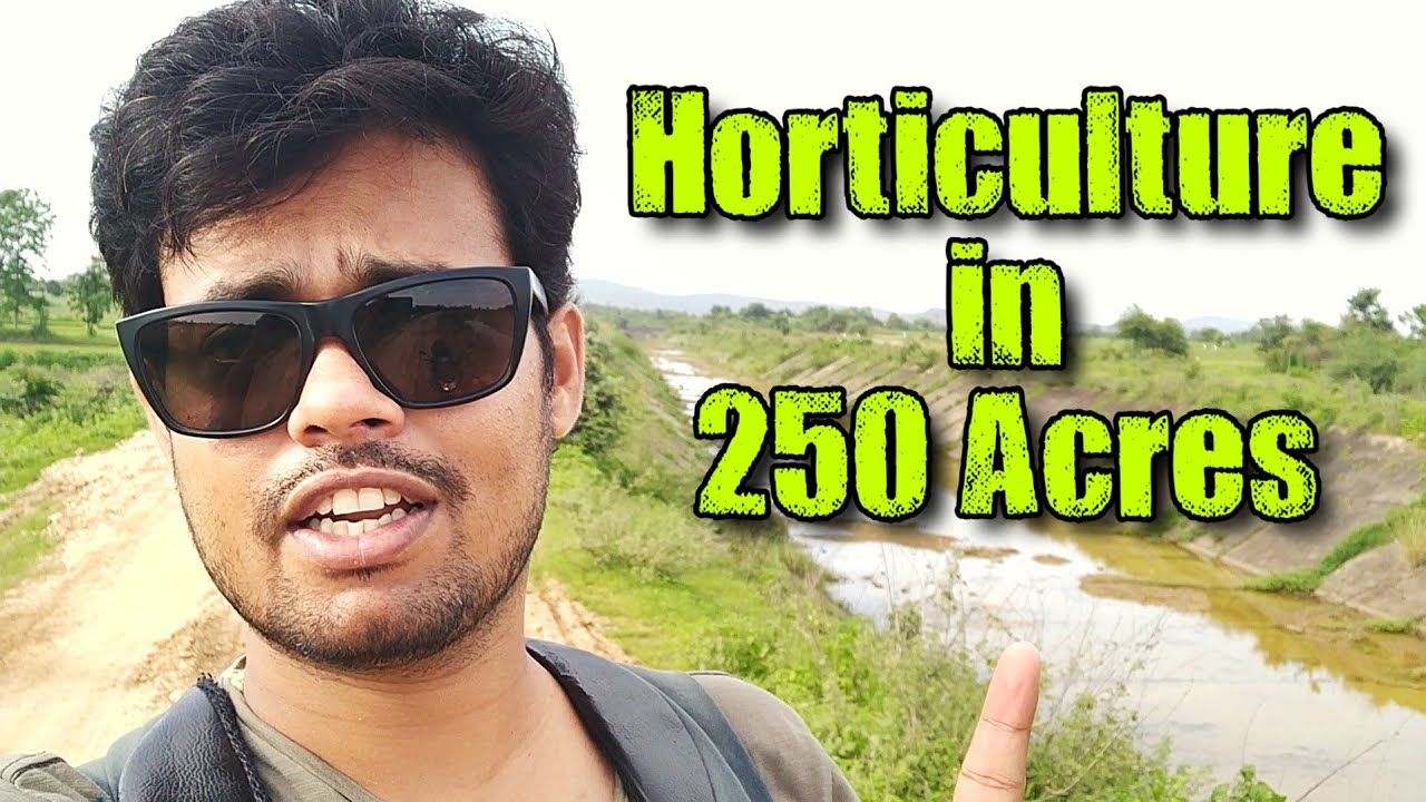 Vidarbha's Biggest Plant Nursery in Nagpur (International Flori Farm) : Horticulture