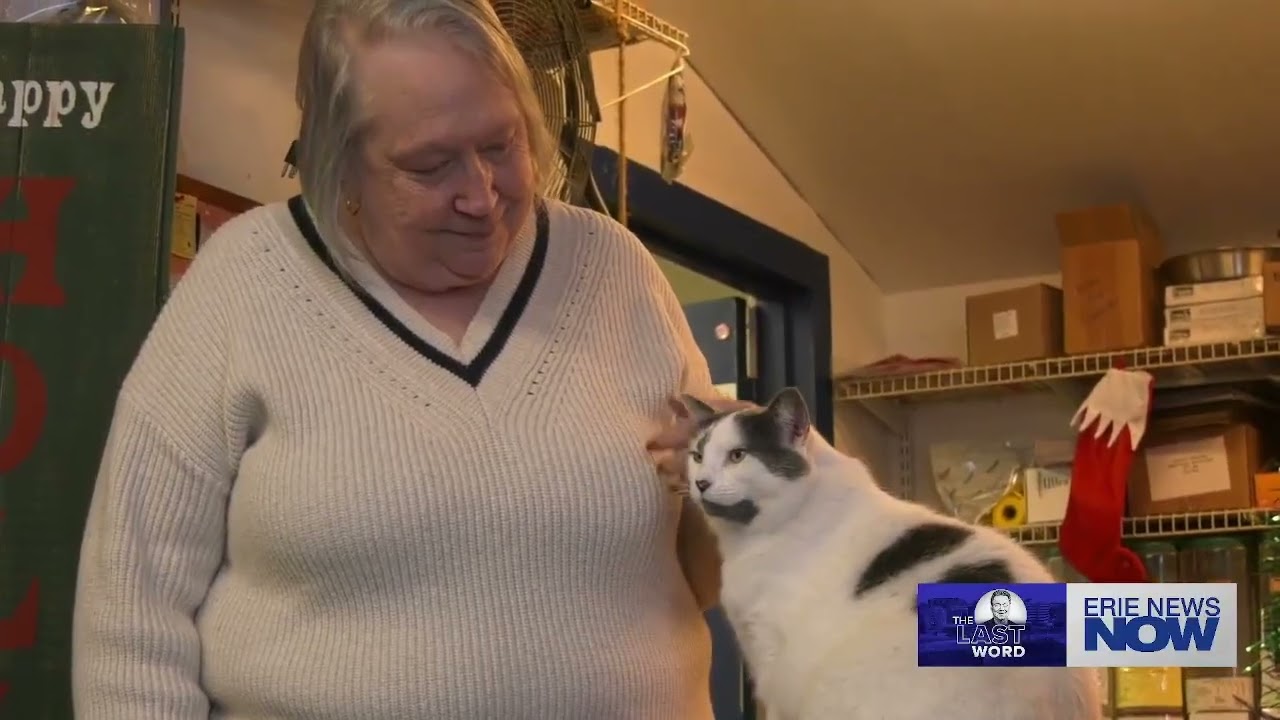 The Last Word: Stella the Cat Charms and Entertains Customers at Feed Store