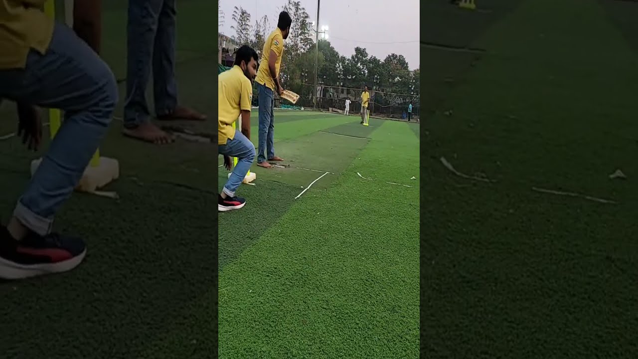 Turf Cricket Highlights @wisetechmep 
