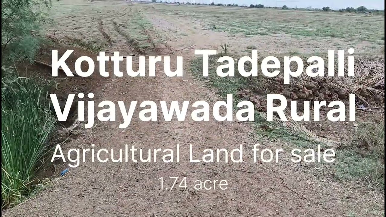 Agricultural land for sale || Kotturu Tadepalli || Vijayawada Rural || 1.74 acre