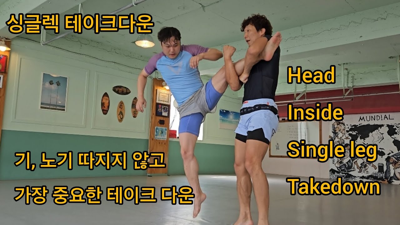 싱글렉 테이크다운의 체계적인 정리