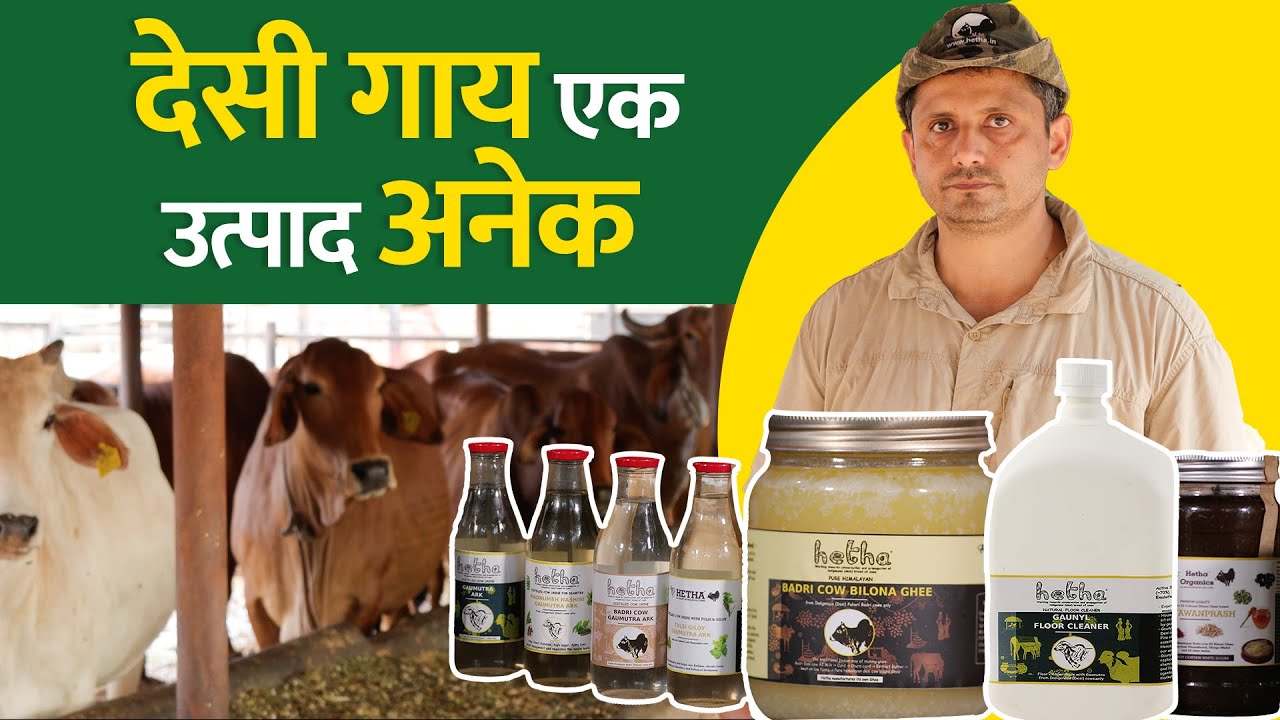 असीम रावत से जानिए देसी गाय की मदद से कैसे बना सकते हैं कई उत्पाद? Hetha Dairy Farm। Dairy Farming