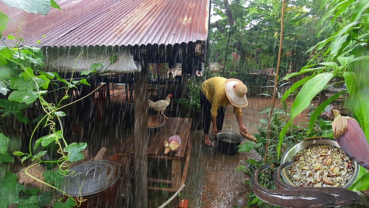Rainy day in Village, Village Cooking Fresh Organic Dinner