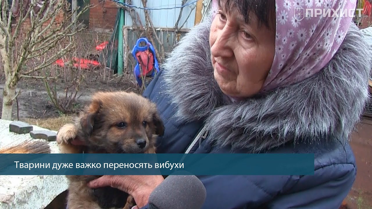 Нікополь під обстрілами: як минули вихідні у місті