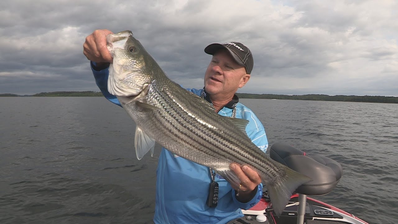 FOX Sports Outdoors SouthWEST #14 - 2016 Lake Ouachita Arkansas Striper & Walleye Fishing