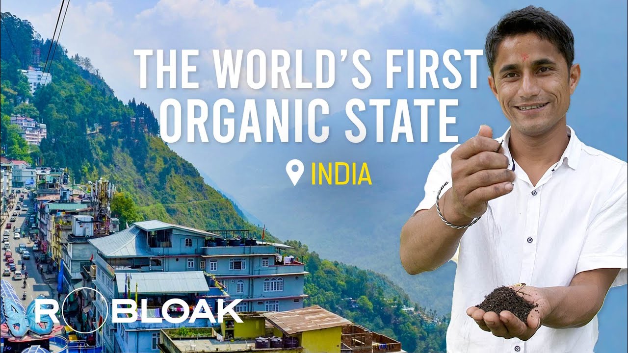 Sikkim: The Road Condition Forcing Us to Go Organic