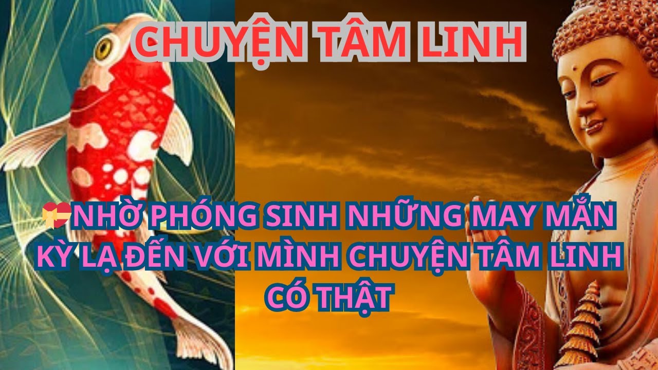 💝NHỜ PH&Oacute;NG SINH NHỮNG MAY MẮN KỲ LẠ ĐẾN VỚI M&Igrave;NH CHUYỆN T&Acirc;M LINH C&Oacute; THẬT