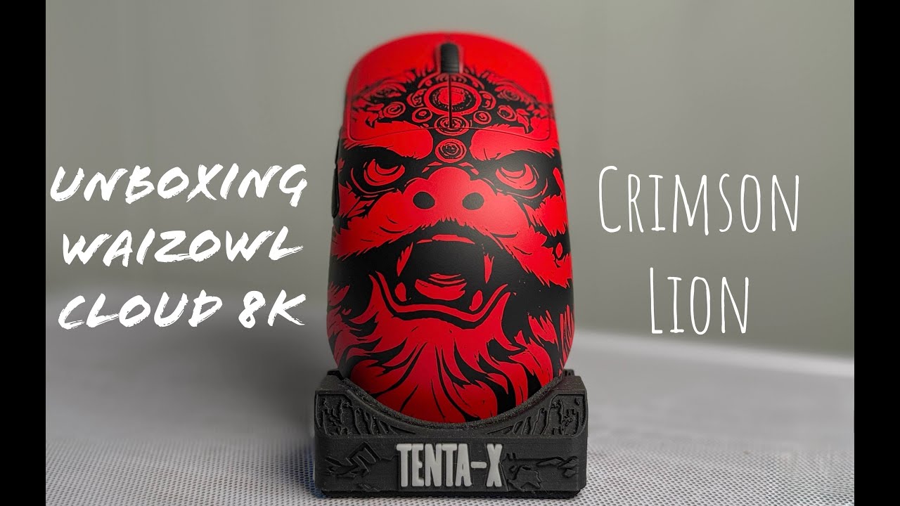 Waizowl Cloud 8K Unboxing