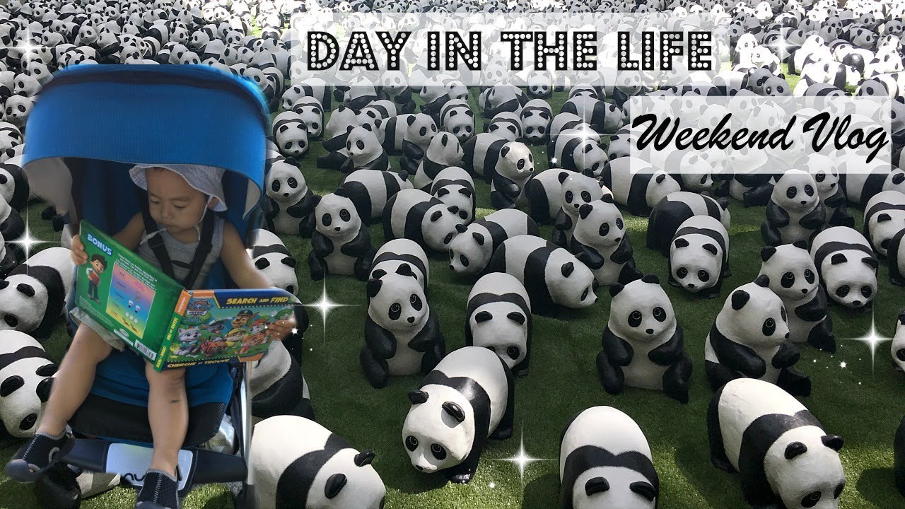 DAY IN THE LIFE WEEKEND VLOG| QUEEN'S PARK| SURREY FUSION FESTIVAL| Angie Lowis